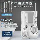 ジェットウォッシャー 歯垢除去 電動 口内洗浄機 大容量800ml 高圧の水噴射 口臭改善 防水機能 水圧10段階 家庭(2)