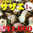 送料無料 海鮮 バーベキューセット 豪華5種 ( 伊勢海老 ...