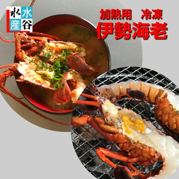 3月月間優良ショップ受賞！三重県産　冷凍伊勢海老　1kg入り　サイズいろいろ　お味噌汁　焼き物　バーベキュー　送料無料