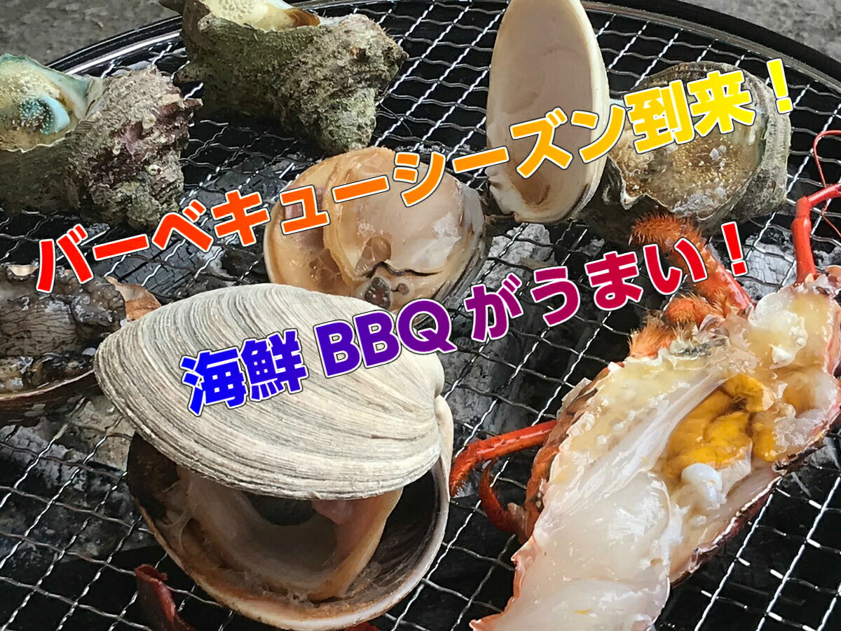 ランキング1位獲得商品 海鮮セット 福袋 海鮮豪華5点盛りセット お吸い物 鉄板 ホイル焼き ( 伊勢海老 2尾 / サザエ 5個 / はまぐり 5個 / 殻付き牡蛎 5個 / スルメイカ 5杯) ランキング1位獲得商品 海鮮セット 福袋 海鮮豪華5点盛りセット お吸い物 鉄板 ホイル焼き ( 伊勢海老 2尾 / サザエ 5個 / はまぐり 5個 / 殻付き牡蛎 5個 / スルメイカ 5杯)
