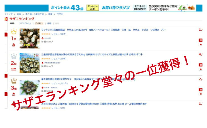 【送料無料】　活サザエ 1kg　海鮮バーベキューに！三重県産 天然 活 サザエ さざえ つぼ焼き バーベキュー BBQ 網焼き 貝類 磯 海鮮 【産地直送】 - Image 2