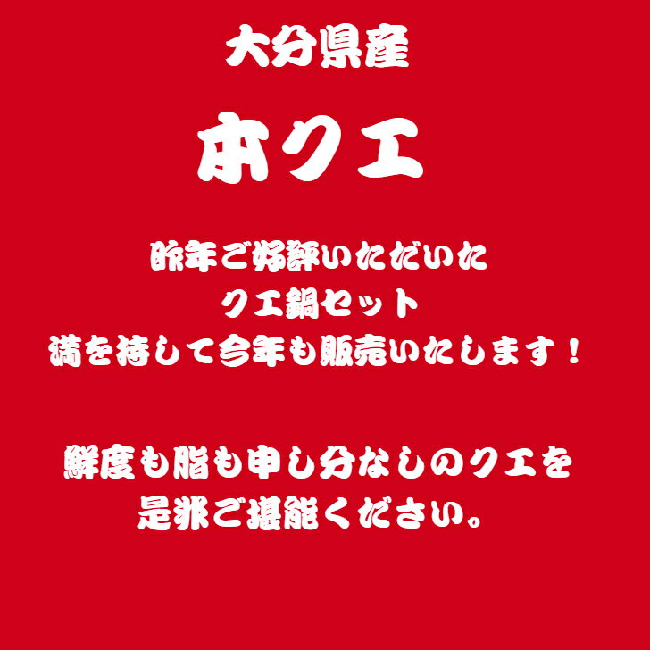 送料無料　幻の超高級魚　クエ鍋セット　本クエ　九絵　鍋料理　大分県産　3〜4人前　約800g　ご馳走　鍋　ご贈答　お祝い　海鮮セット　海鮮鍋