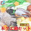 送料無料 幻の超高級魚 クエ鍋セット 本クエ 九絵 鍋料理 大分県産 3〜4人前 約800g ご馳走 鍋 ご贈答 お祝い 海鮮セット 海鮮鍋 6,800円