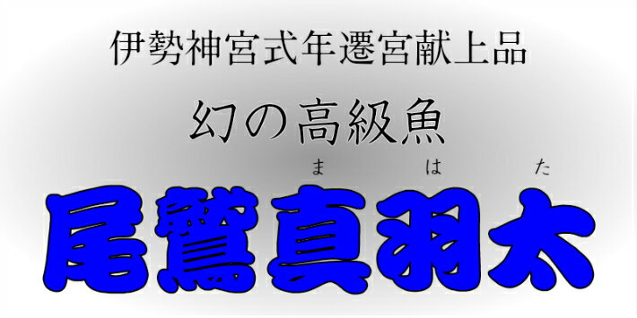 ランキング1位獲得商品!お客様評価4.8以上!!送料無料　幻の高級魚　尾鷲　マハタ(1.3〜1.5kg) 三重県産　生産量日本一　お鍋　コラーゲンたっぷり　お刺身　お寿司　活〆　クエ　鍋