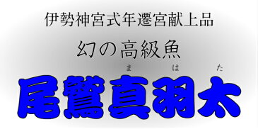 4月月間優良ショップ受賞！ランキング1位獲得商品!お客様評価4.8以上!!送料無料　幻の高級魚　尾鷲　マハタ(1.3〜1.5kg) 三重県産　生産量日本一　お鍋　コラーゲンたっぷり　お刺身　お寿司　活〆　クエ　鍋