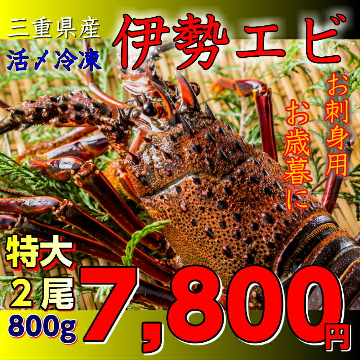 送料無料　活〆冷凍　大　三重県産伊勢海老　(2尾で約800g）三重県産　お刺身用　お歳暮　お祝い　ご贈答に　伊勢エビ　天然