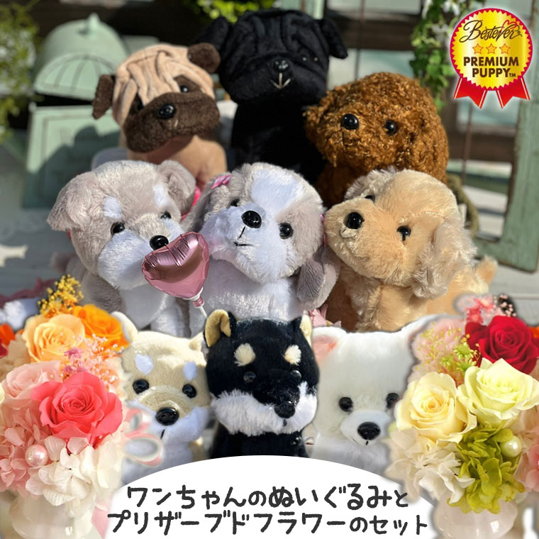 アニマルフラワー わんこと花セット プリザーブドフラワー ぬいぐるみ プレゼント 犬 敬老の日 ギフト 花 プレゼント 誕生日 女性 母 ギフト ミニアレンジ 結婚祝い 和風プリザ 退職祝い トイプードル おばあちゃん メッセージ対応 ギフトセット