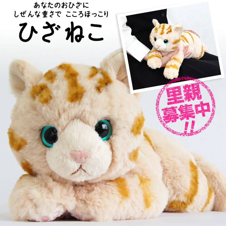 ひざねこ　ネコ ぬいぐるみ 子猫 癒しグッズ 母の日 祖母 誕生日 プレゼント 女性 母 猫好き お祝い 三毛 トラ 祖父 孫 娘 ペット メモリアル かわいい メッセージ対応 ひざねこのサムネイル
