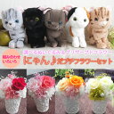 にゃんだプチセット (公)どうぶつ基金寄付 プリザーブドフラワー ぬいぐるみ ネコ 花 ネコ ぬいぐるみ ギフト 誕生日 プレゼント 女性 母 プレゼント アメ...