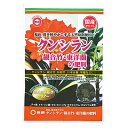 東商 クンシラン 観音竹 東洋蘭の肥料 210g