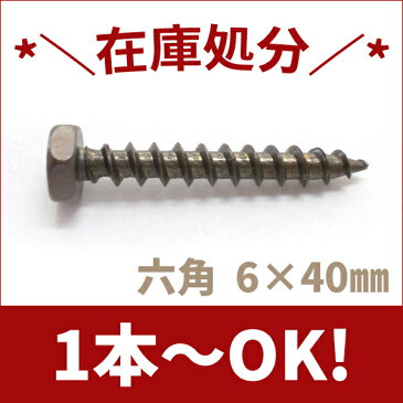 【クーポン有り】六角ボルト ステンレス(+)六角コーチスクリューボルト　六角頭M6×40　濃茶【1本から注文可能】