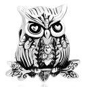 チャーム ブレスレット バングル用 CharmSStory チャームズストーリー CharmSStory Owl Wisdom Bird Charm Bead ...