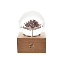 3D クリスタルボール ガラス玉 置物 MISS LI GARDEN Forever Flowers 3D Crystal Ball with LED Lights,Best Gifts for Her Wife Girlfriend Women, Anniversary, Mothers Day, Birthday, Valentine 039 s Day Home D cor 【並行輸入品】