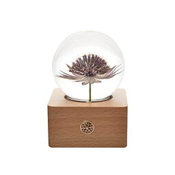 3D クリスタルボール ガラス玉 置物 MISS LI GARDEN Forever Flowers 3D Crystal Ball with LED Lights,Best Gifts for Her Wife Girlfriend Women, Anniversary, Mothers Day, Birthday, Valentine's Day Home D?cor 【並行輸入品】