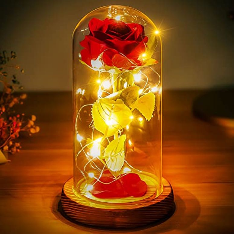 ガラスドーム 花 バラ ローズ Norcalway Romantic Valentines Gift for Her - Beauty and The Beast Rose in Glass Dome - Valentines Wedding Decorations - Beauty and The Beast Gift 