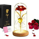 ガラスドーム 花 バラ ローズ Klysimath Beauty and The Beast Rose, Red Rose Gifts for Women, Forever Rose in Glass Dome, Enchanted Rose Romantic Gifts for Her, Girlfriend, Wife, Mom, Valentine's Day, Mother's Day 【並行輸入品】