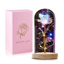 ガラスドーム 花 バラ ローズ QUNPON Valentines Day Gifts for Her,Gifts for Women,Birthday Gifts for Women Mom,Valentines Flowers Roses Gifts for Women Girlfriend Wife Valentine‘s Day Mothers Day,Galaxy Glass Ro 【並行輸入品】