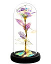 ガラスドーム 花 バラ ローズ Otlonpe Galaxy Rose Valentines Gifts for Women Wife Girlfriend, Light Up Led Glass Rose Flower Birthday Gifts for Her, Indoor Decorations for Valentines, Birthday, Anniversary, Party 【並行輸入品】