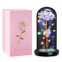 ガラスドーム 花 バラ ローズ Galaxy Flower Rose Gifts for Her, Colorful Artificial Flower Rose Gift with LED,Preserved Flowers in Glass Dome for Christmas Day,Anniversary,Birthday,Wedding,Girlfriend,Graduate,Gra 【並行輸入品】