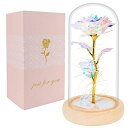 ガラスドーム 花 バラ ローズ Beferr Valentines Day Gifts for Her Galaxy Rose Glass Crystal Flower Gift in Glass Dome with Light Valentine Roses Ideas Birthday Gifts for Women Mom Daughters Wife Sister Girlfriend 【並行輸入品】