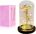 ガラスドーム 花 バラ ローズ Forever Galaxy Roses Gifts, Eternal Light Rose Flower Gifts, Women Birthday Gifts, Artificial Flower Rose Light Gift in Glass Dome,Love Gifts Daughter Women Mom Gifts 【並行輸入品】