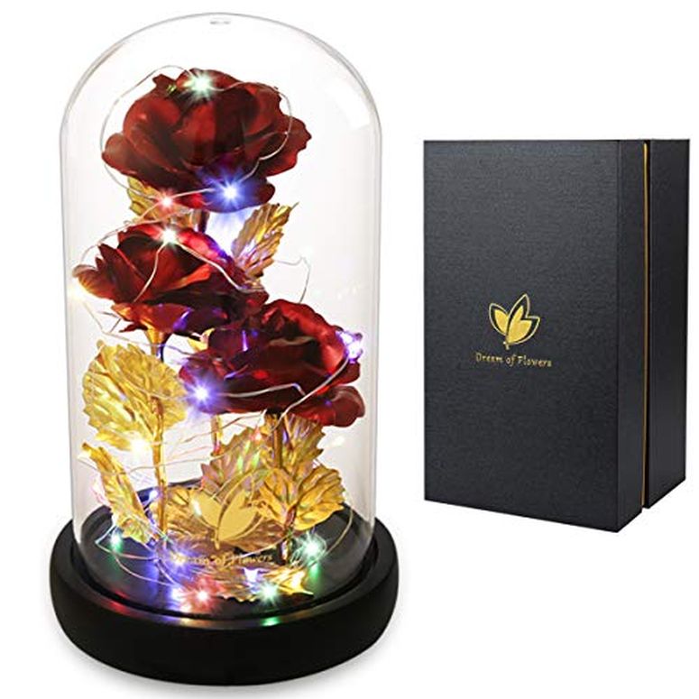 ガラスドーム 花 バラ ローズ Valentine 039 s Day Rose Gift for Her, Birthday for Women Beauty and The Beast Rose 24K Red Rose in Glass Dome, Light Up Rose, Forever Artificial Flowers, Funny Gift for Mom Girlfriend W 【並行輸入品】