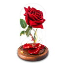 ガラスドーム 花 バラ ローズ AGGUT Valentines Day Gifts for Her,Beauty and The Beast Rose,Valentine 039 s Day Roses Gifts for Mom Girlfriend Wife,Red Rose in Glass Dome for Anniversary Birthday Christmas 【並行輸入品】