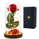 ガラスドーム 花 バラ ローズ Valentines Rose Gift for Her - Gifts for Women Beauty and The Beast Red Rose Flower in Glass Dome with Valentine 039 s Day Lights, Artificial Roses Gift for Mom Mothers Day Anniversary D 【並行輸入品】