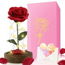 ガラスドーム 花 バラ ローズ 2023 Beauty and The Beast Rose - Enchanted Red Silk Rose in Glass Dome with LED Light - Romantic Rose Kit - for Best Gifts Valentine 039 s Day Girlfriend Wedding Anniversary Birthd 【並行輸入品】