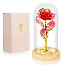 ガラスドーム 花 バラ ローズ Valentines Day Gifts for Her Galaxy Rose Glass Crystal Flower Gift in Glass Dome with Light Valentine Roses Ideas Birthday Gifts for Women Mom Daughters Wife Sister Girlfriend red 【並行輸入品】