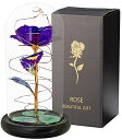 ガラスドーム 花 バラ ローズ Beauty and The Beast Rose Lasts Forever Artificial Colorful Roses in A Glass Dome Flower Gift for Mother's Day Valentine's Day Wedding Anniversary Girl's Birthday (Purple) 【並行輸入品】