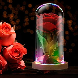 ガラスドーム 花 バラ ローズ Rose in A Glass Dome Beauty and The Beast Rose Enchanted Red Silk Rose LED Light Romantic Gift Movie Theme Party Mother's Day Valentine's Day Wedding Decoration 【並行輸入品】