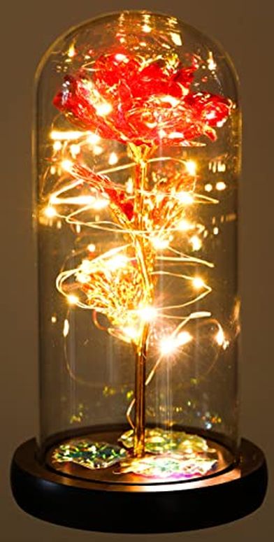ガラスドーム 花 バラ ローズ USA Party Flower LED Valentines Rose in Glass Dome (Red) 【並行輸入品】 1