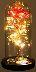 ガラスドーム 花 バラ ローズ USA Party Flower LED Valentines Rose in Glass Dome (Red) 【並行輸入品】