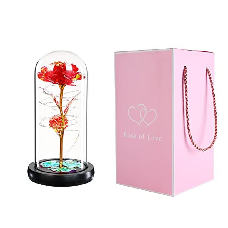 ガラスドーム 花 バラ ローズ USA Party Flower LED Valentines Rose in Glass Dome (Red) 【並行輸入品】 2