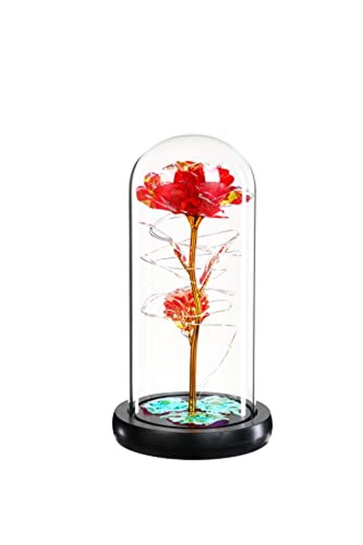 ガラスドーム 花 バラ ローズ USA Party Flower LED Valentines Rose in Glass Dome (Red) 【並行輸入品】 3