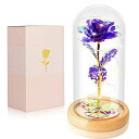 ガラスドーム 花 バラ ローズ Valentines Day Gifts for Her Galaxy Rose Glass Crystal Flower Gift in Glass Dome with Light Valentine Roses Ideas Birthday Gifts for Women Mom Daughters Wife Sister Girlfriend Purple 【並行輸入品】