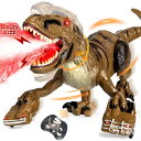 リモコン カー ギフト RC おもちゃ 車 Lozadia Remote Control Dinosaur Toys for Kids, Large Robot...