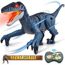 リモコン カー ギフト RC おもちゃ 車 Hot Bee Dinosaur Toys for Kids 3-5-7, Remote Control Dinos...