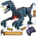 リモコン カー ギフト RC おもちゃ 車 Remote Control Dinosaur Toys Kids - Jurassic Velociraptor ...