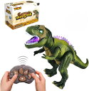 リモコン カー ギフト RC おもちゃ 車 Tuko RC Car Toys for 3+ Years Old Boy and Girl Gift (Speci...