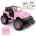リモコン カー ギフト RC おもちゃ 車 NQD Pink RC Cars 1:16 Scale with DIY Sticker, Remote Contr...