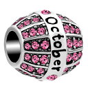 チャーム ブレスレット バングル用 CharmSStory チャームズストーリー 【並行輸入品】