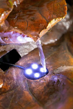 卓上 噴水 滝のオブジェ テーブルトップファウンテン インテリア噴水 Alpine WIN622 Tabletop Leaf Fountain with White LED LightAlpine WIN622 Tabletop Leaf Fountain with White LED Light