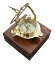   ѥ 夦  Yaman Antique Sundial Compass 4 Inche Solid Brass Sun Dial Beautiful Nautical Sundial Compass with Wooden Box ¹͢ʡ