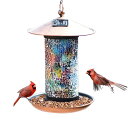 バードフィーダー 野鳥 餌台 小鳥のエサ入れ ガーデン用オーナメント鳥 ハンギング 吊るし型 XDW-GIFTS Solar Bird-Feeder for Outside Hanging Outdoor - Solar Powered Garden Lantern Light Bird-House Wild Hanging Birdfeeder Waterproof Uniqu 【並行輸入品】