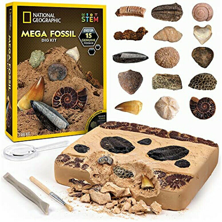 ナショナルジオグラフィック 化石発掘セット NATIONAL GEOGRAPHIC Mega Fossil Dig Kit - Excavate 15 Prehistoric Fossils Including Dinosaur Bones & Shark Teeth, Educational Toys, Great Science Kit Gift for Girls and Boys (Amazon Exclus 【並行輸入品】