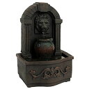 K[f  CeA u^  ̃IuWF EH[^[tH[t@Ee Pure Garden 50-LG5069 Tabletop Water Fountain-Classic Lion Head Polyresin Indoor Waterfall, Electric Pump and Soothing Sounds for Office and Home ysAiz