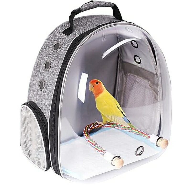インコ 小鳥 バード トラベルキャリアー Bird Backpack Carrier, Space Capsule Bubble Window Astronaut Travel Backpack for Parakeet Parrot Conure Cockatiel Transparent Clear Hard Shell with Stand Perch, Airline Approved (Grey, Large Ba 【並行輸入品】のサムネイル