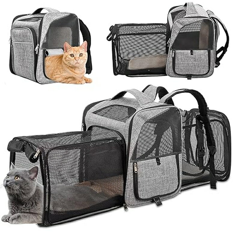 インコ 小鳥 バード トラベルキャリアー Cat Backpack Carrier WHDPETS 2 Sides Expandable Pet Backpack for Cats Dogs fit Up to 20 lbs Breathable Cat Carrier with Inner Safety Leash Gr…